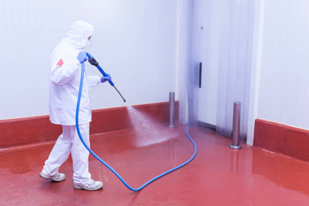 Trusted Jasper, GA Pressure Washing Services Experts